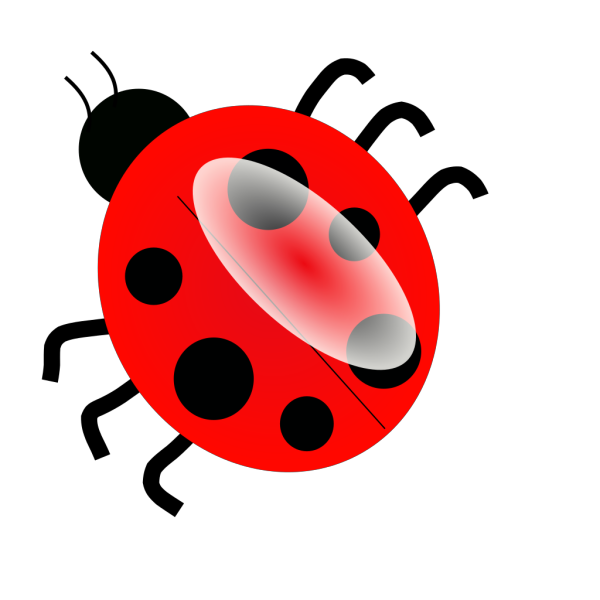 Ladybug 3 PNG Clip art