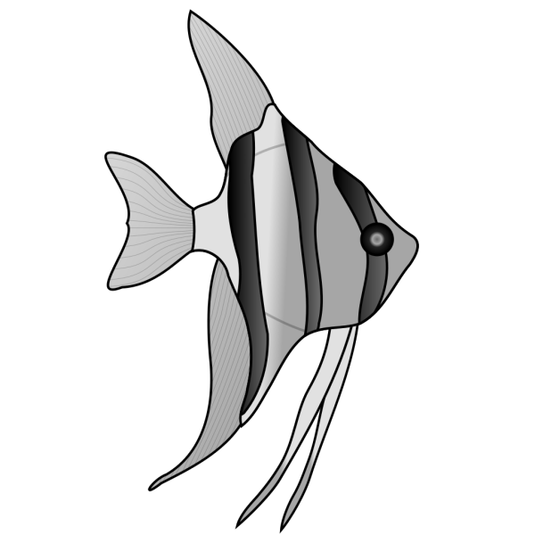 Altum Angelfish PNG Clip art