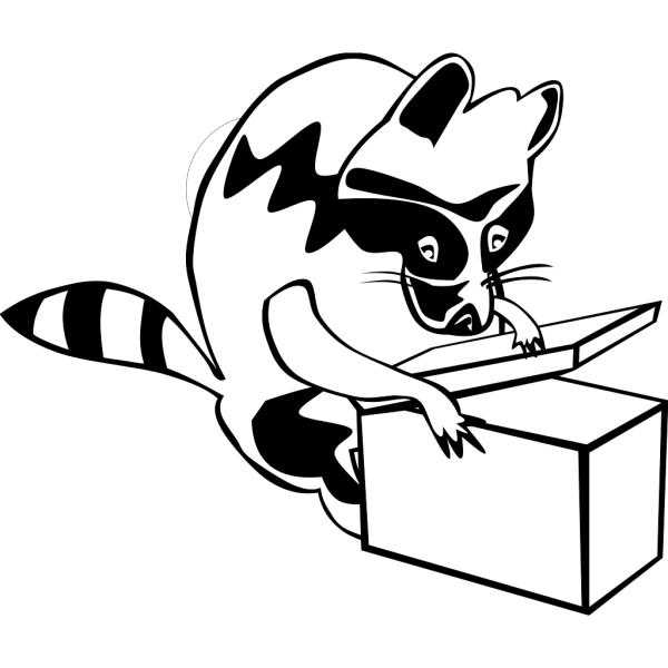 Raccoon Opening Box PNG Clip art