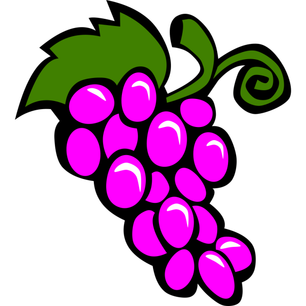 Grapes Vine PNG Clip art