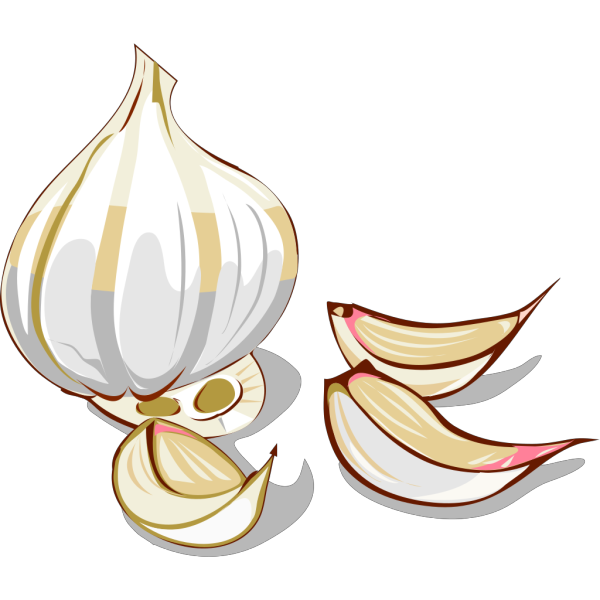 Garlic PNG Clip art