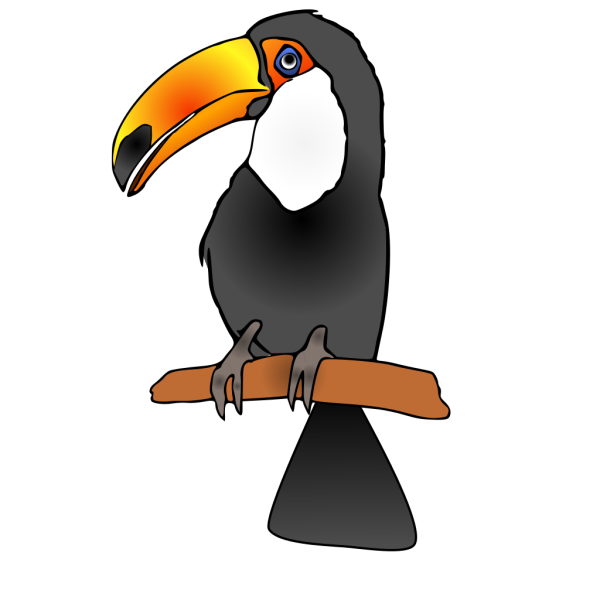 Toucan PNG images