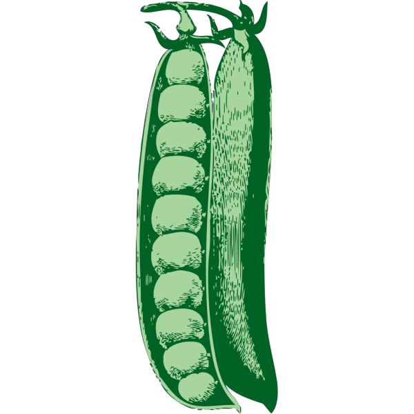 Peas PNG images