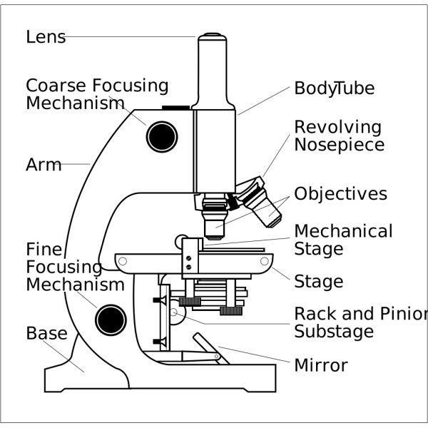 Microscope With Labels PNG Clip art