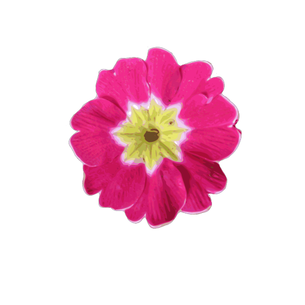 Pink Flower 9 PNG Clip art