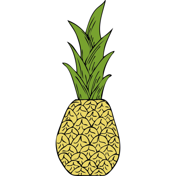 Pineapple Head PNG Clip art