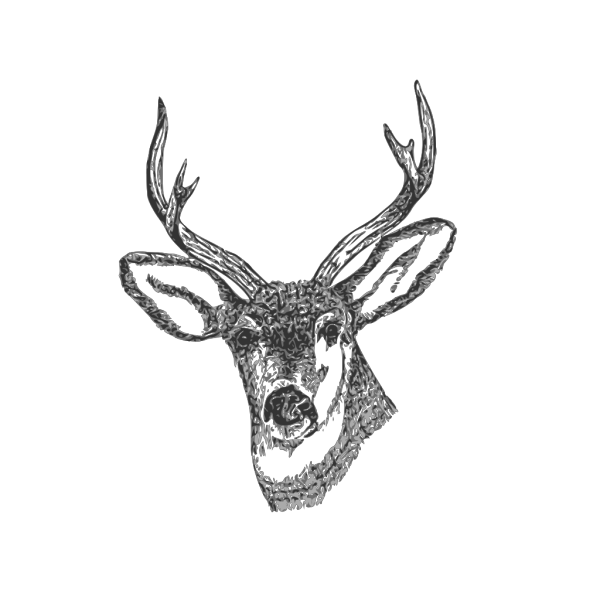 Deer Head PNG Clip art