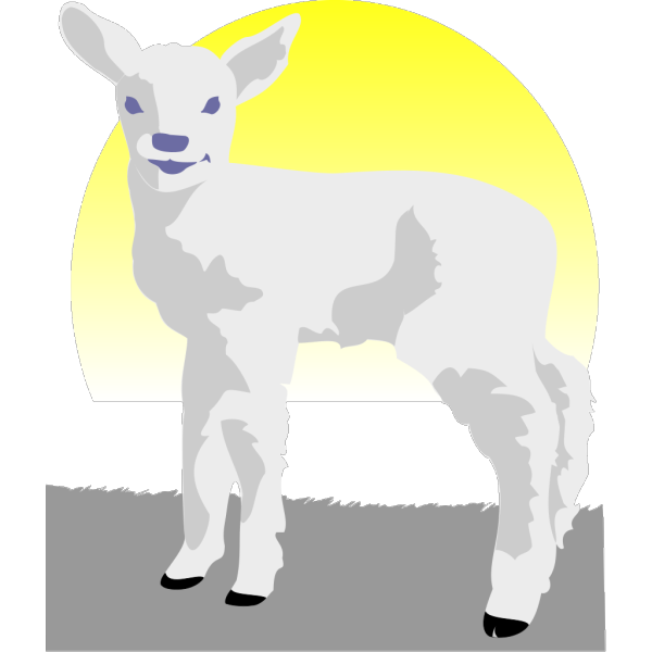 Lamb PNG Clip art