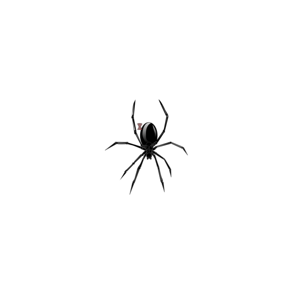 Black Widow Spider PNG Clip art
