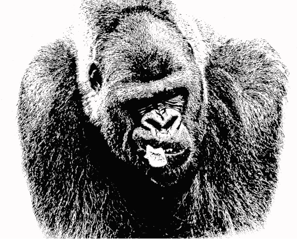 Gorilla PNG Clip art