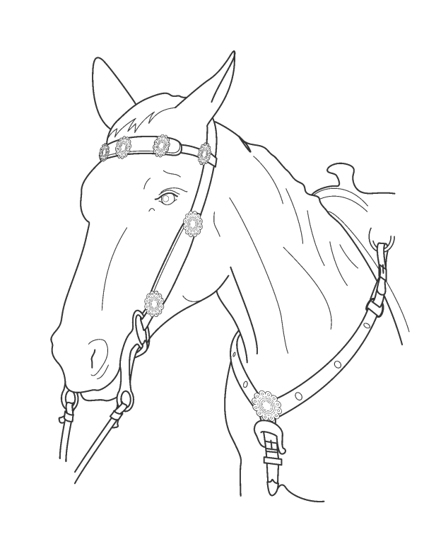 Black Horse PNG Clip art