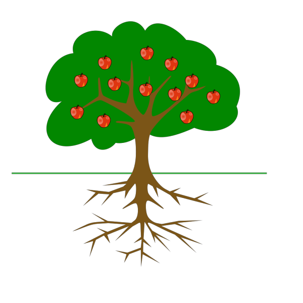 Apple Tree PNG Clip art