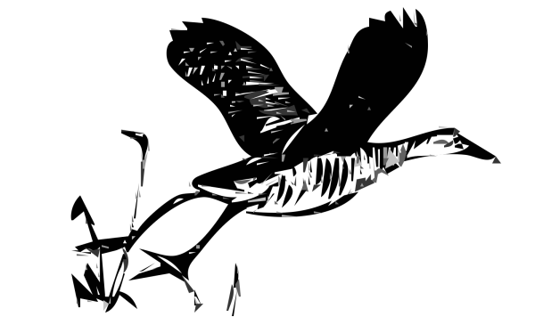 A Sick Bird PNG Clip art