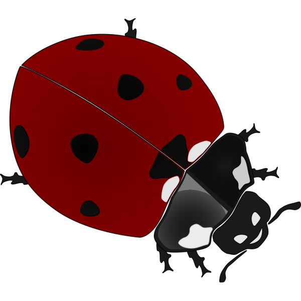 Ladybug 4 PNG Clip art