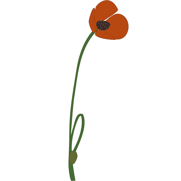 Poppy Remembrance Day PNG images