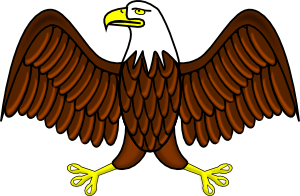 Bald Eagle PNG Clip art