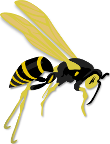 Flying Wasp PNG images