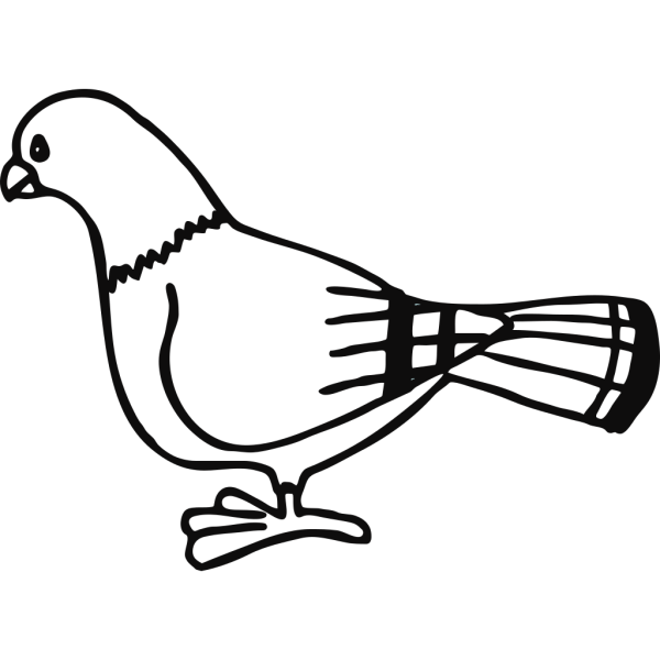 Pigeon For Coloringbook PNG Clip art
