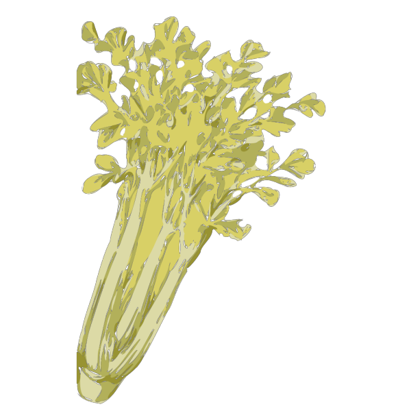 Celery PNG Clip art
