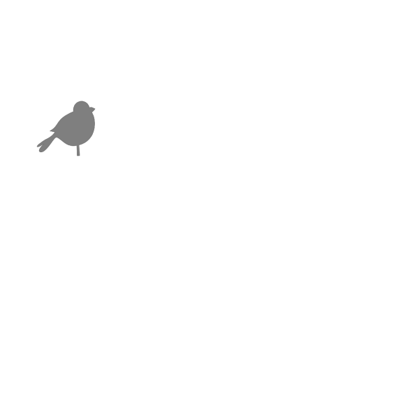Bird Gray PNG images