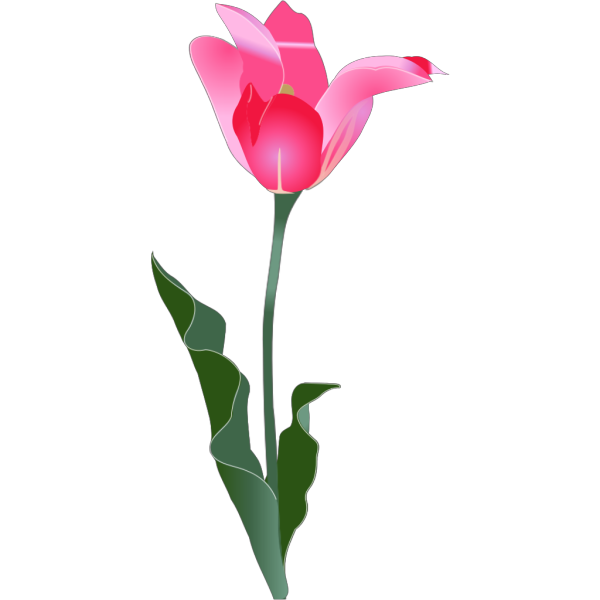 Tulip Silhouette PNG Clip art