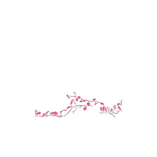 Pink Bird Silhouette 2 PNG Clip art