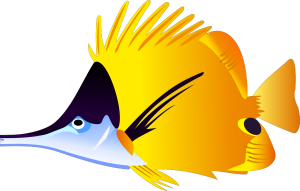 Fish 17 PNG Clip art
