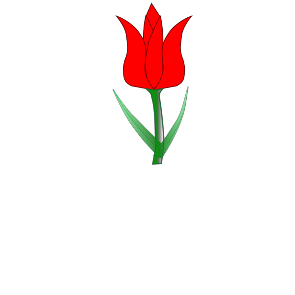 Tulip PNG Clip art