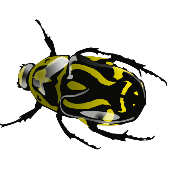 Srd Green Beetle 3 PNG Clip art