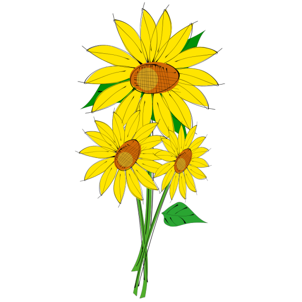 Sunflowers PNG Clip art