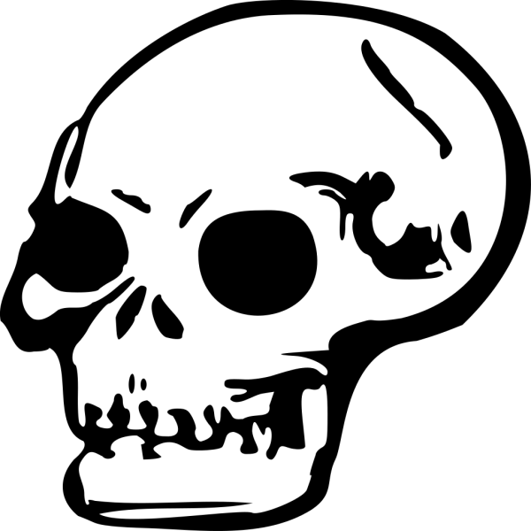 Human Skull PNG Clip art