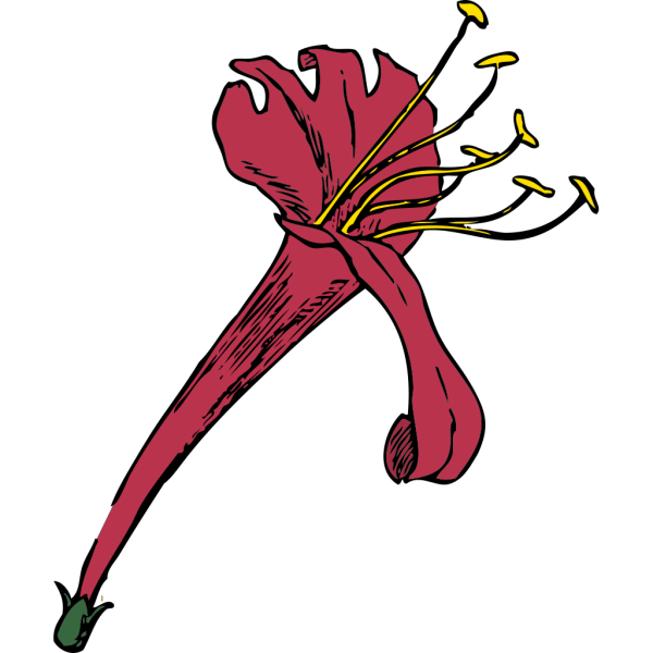 Flower Plant PNG Clip art