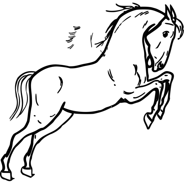 Jumping Horse Outline PNG Clip art