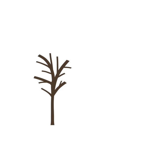 Bare Tree PNG Clip art