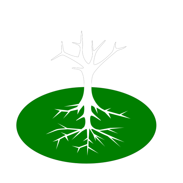Tree Roots PNG Clip art