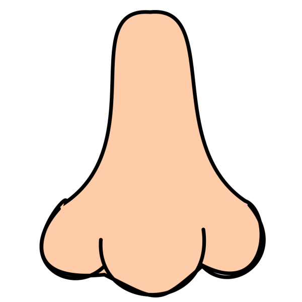 Nose PNG images