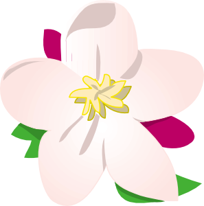 Apple Blossom PNG Clip art