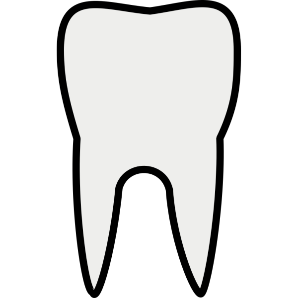 Tooth Molar PNG Clip art