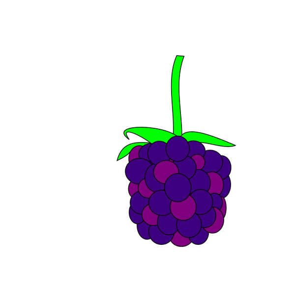 Blackberry  PNG Clip art
