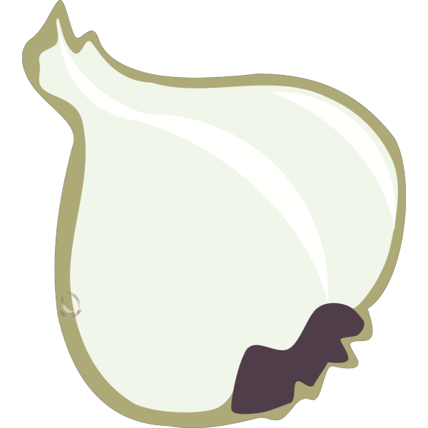 Garlic PNG Clip art
