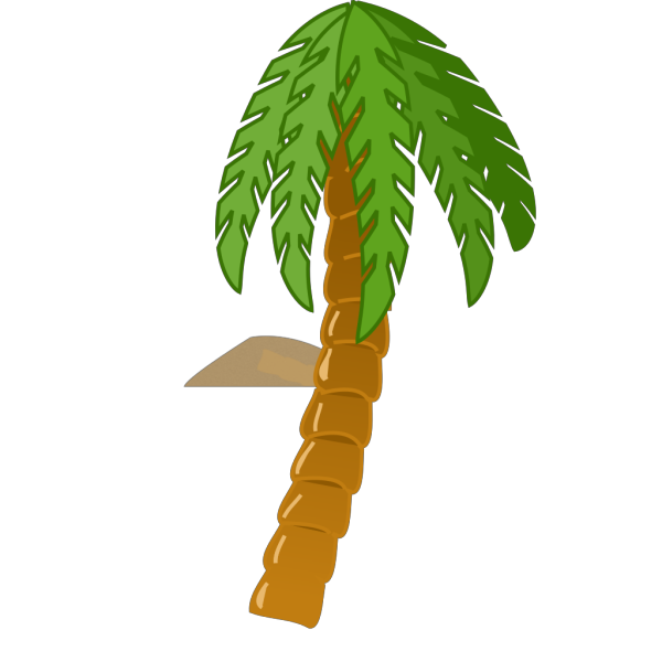 Palmtree PNG Clip art