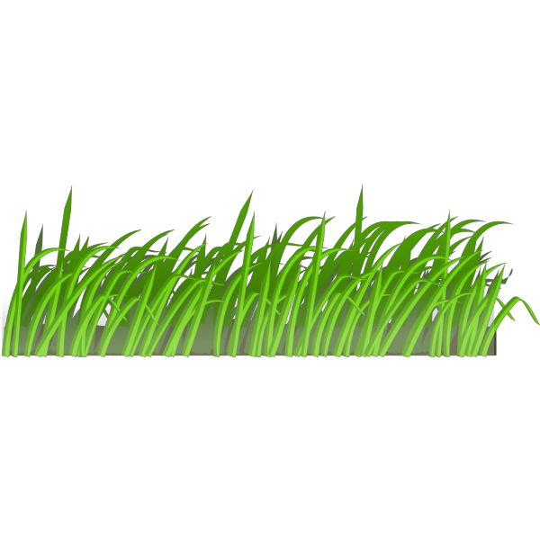 Grass Texture PNG Clip art