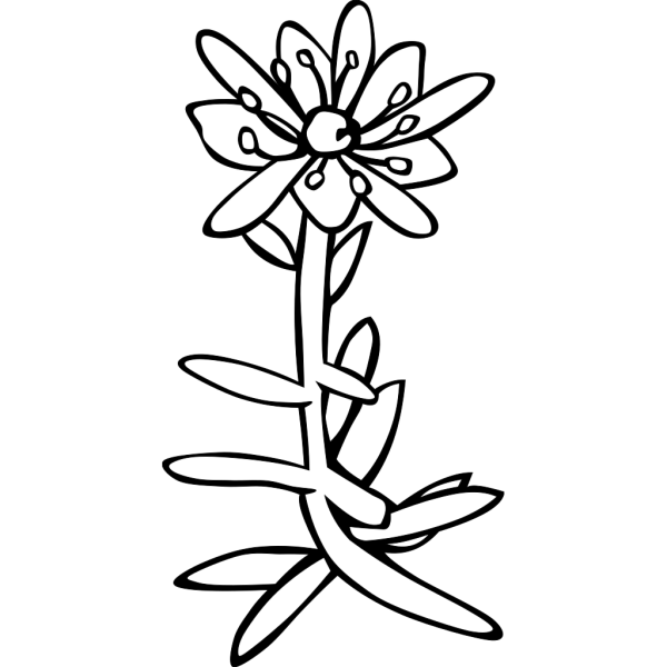 Vase Of Wild Flowers PNG Clip art