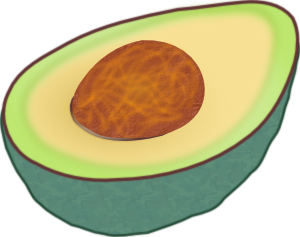 Avocado PNG Clip art