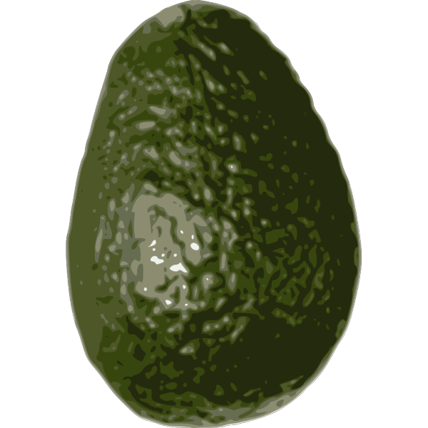 Avocado PNG Clip art