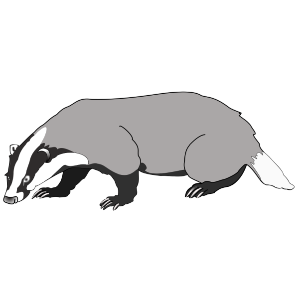 Badger PNG images