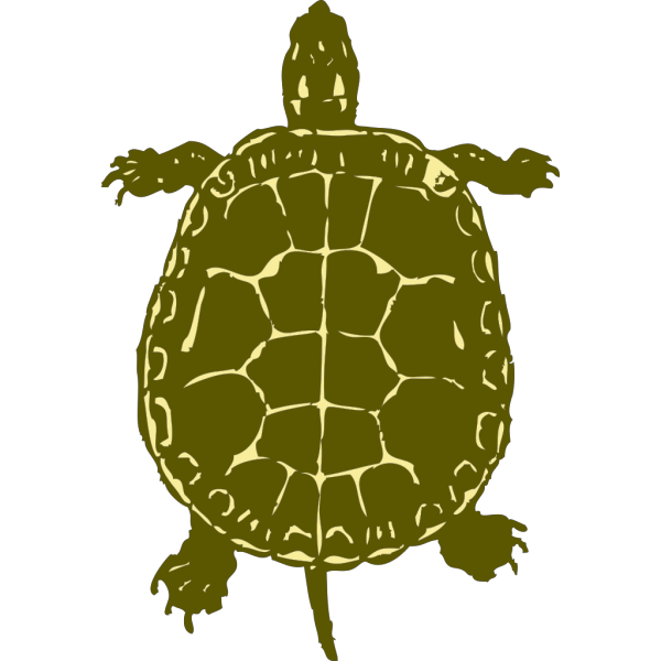 Turtle PNG Clip art