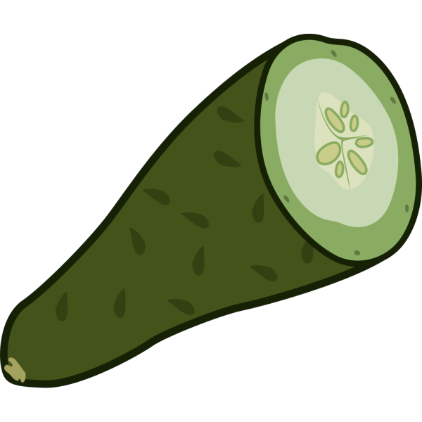 Sea Cucumber PNG images