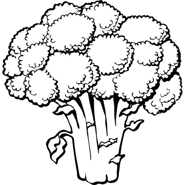 Broccoli PNG images