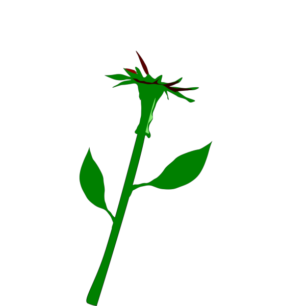 Flower 29 PNG Clip art